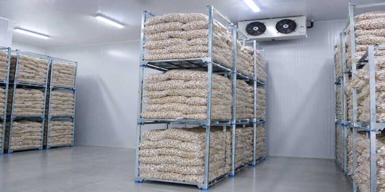 Cold Storage Racking Solutions